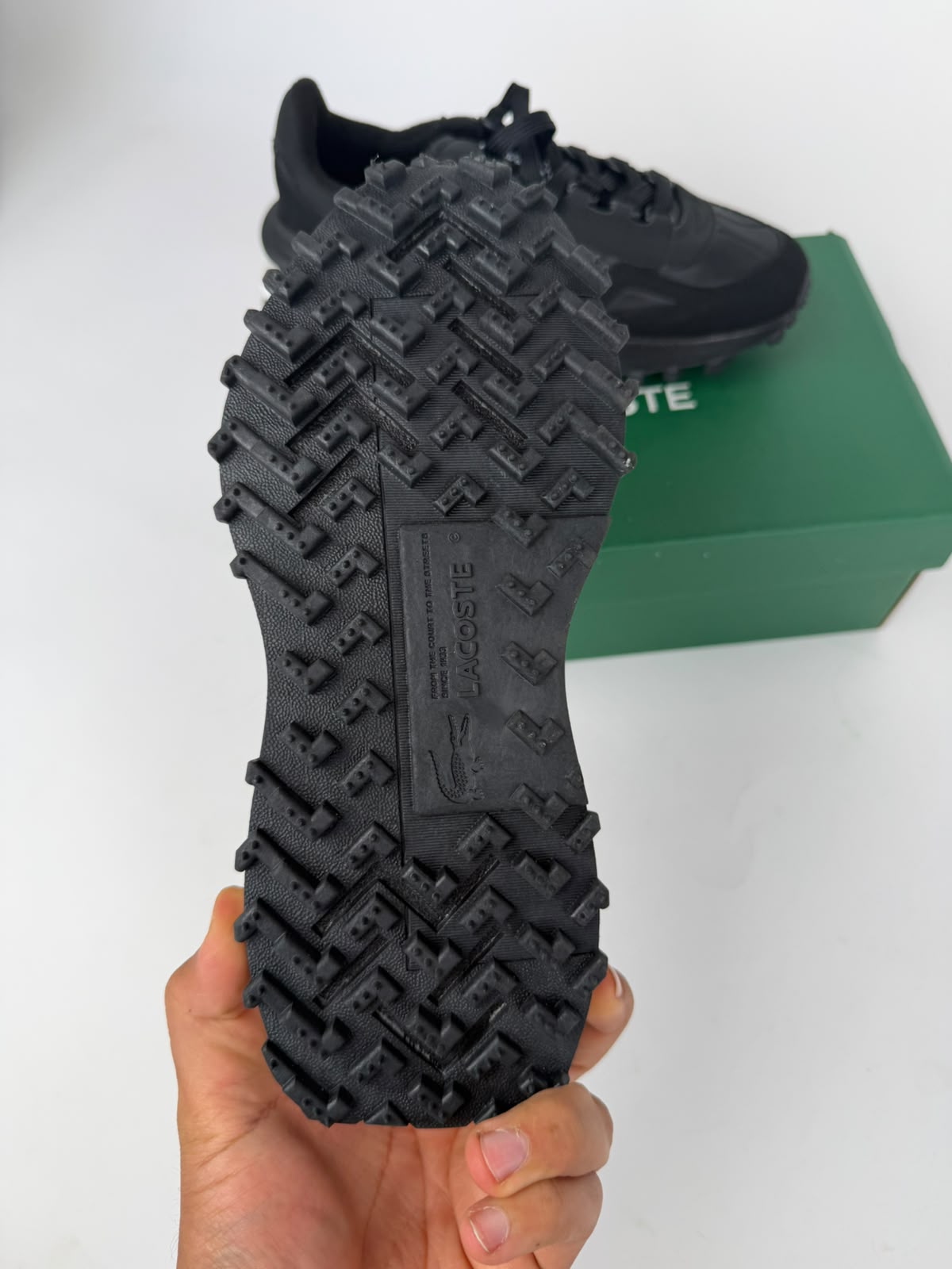 Zapatilla Lacoste 2026