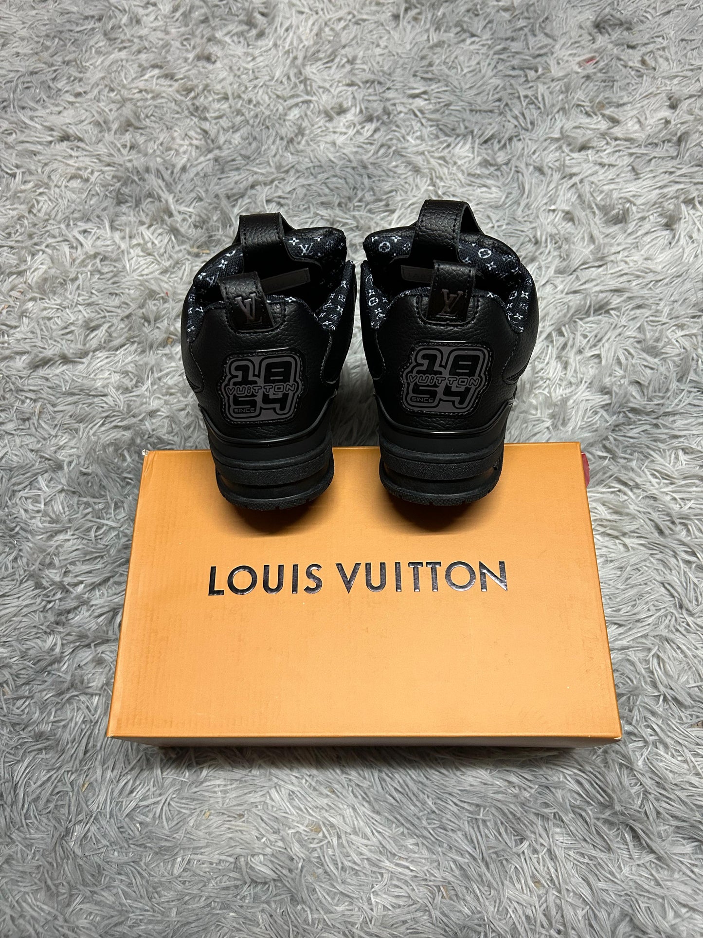 Zapatilla Louis Vuitton Skate Nuevo Modelo