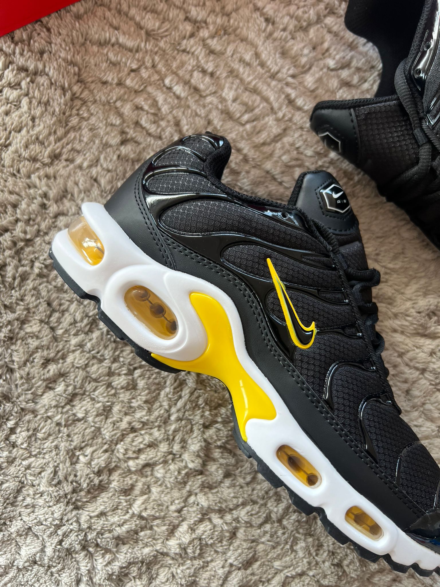 Zapatilla Nike Tn Full Black