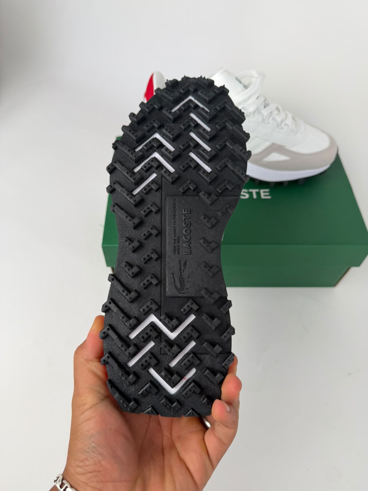 Zapatilla Lacoste 2026
