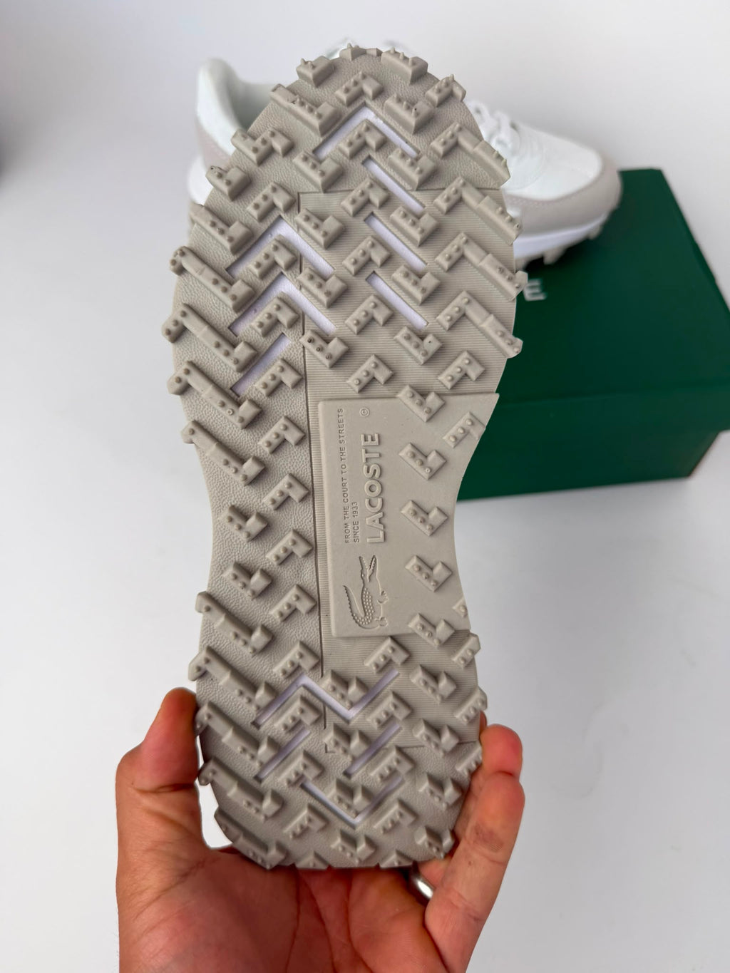Zapatilla Lacoste 2026