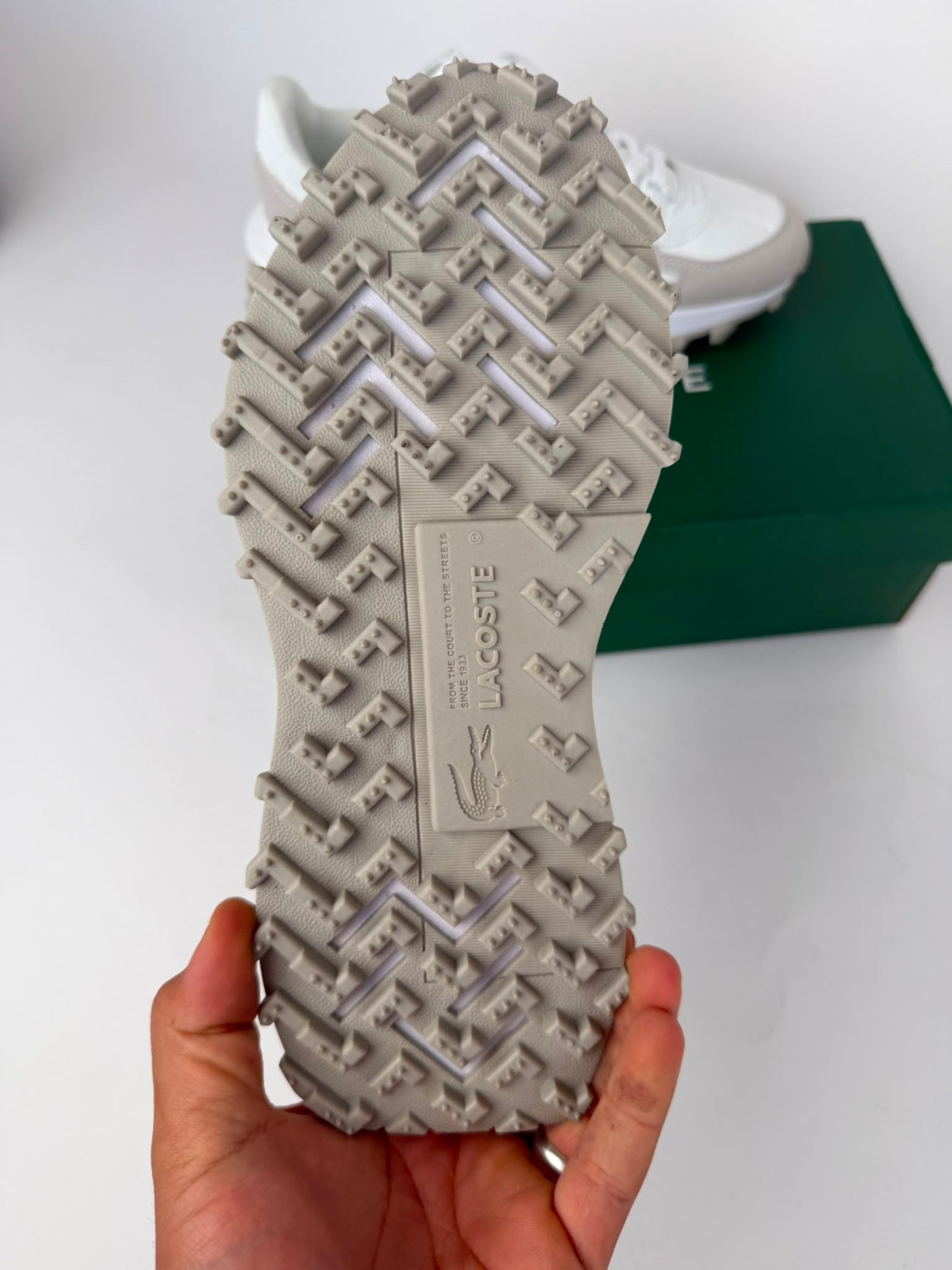 Zapatilla Lacoste 2026