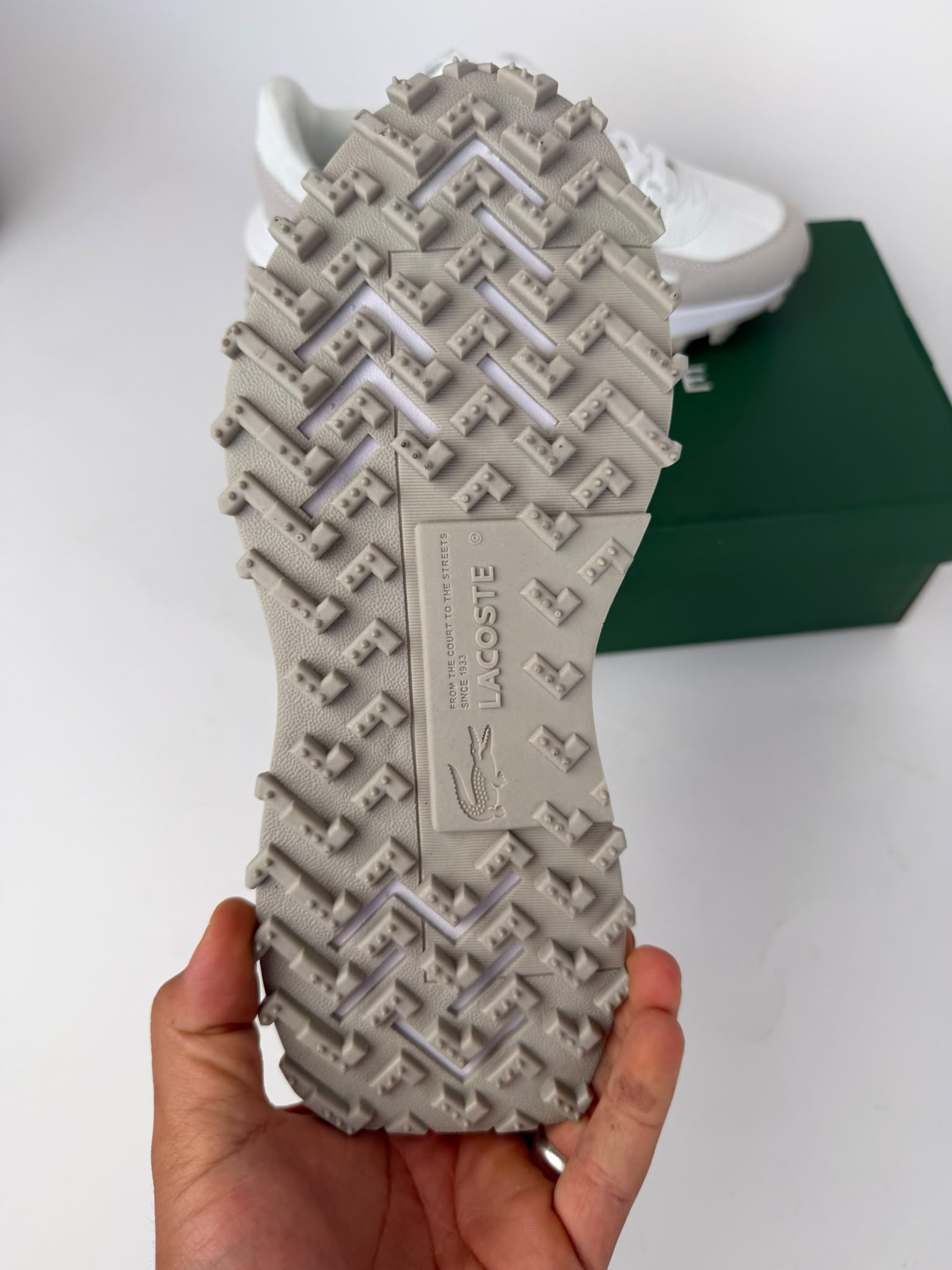 Zapatilla Lacoste 2026