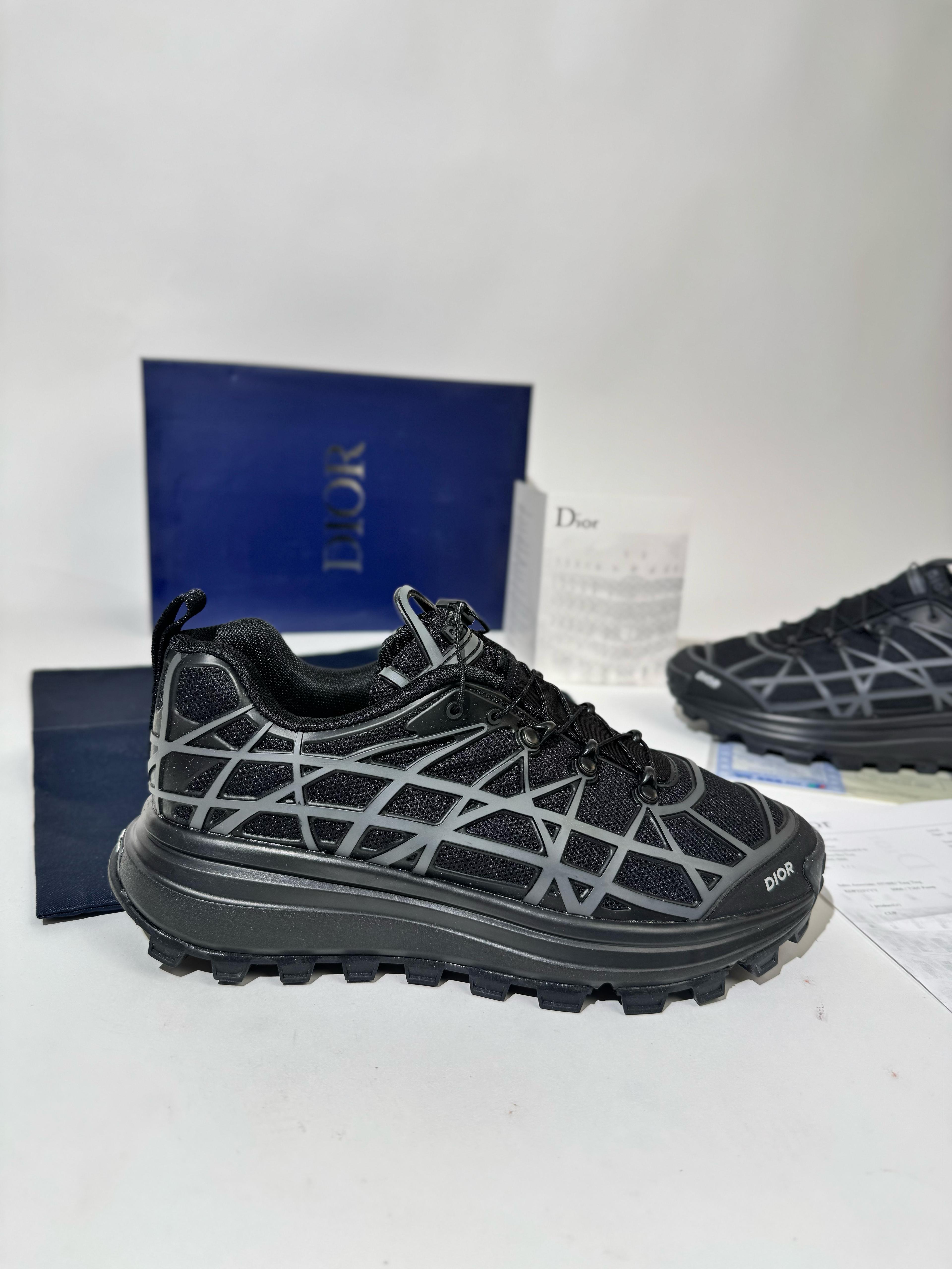 Zapatilla Dior B31