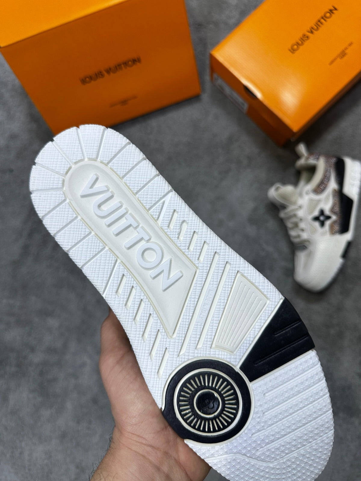 Zapatilla Louis Vuitton Skate