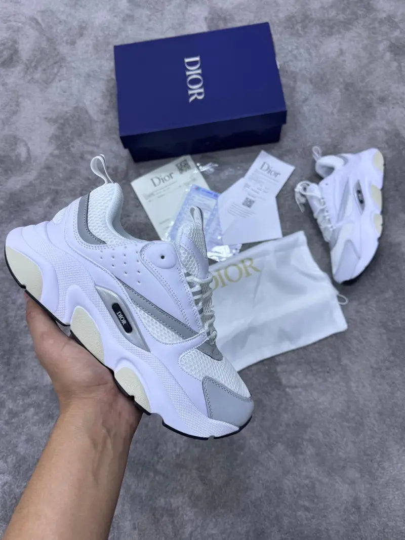 Zapatilla Dior B22