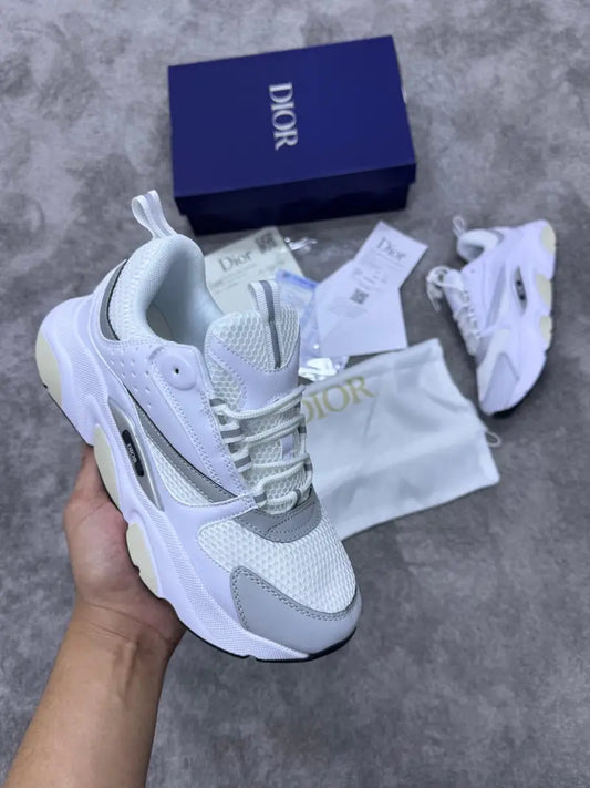 Zapatilla Dior B22
