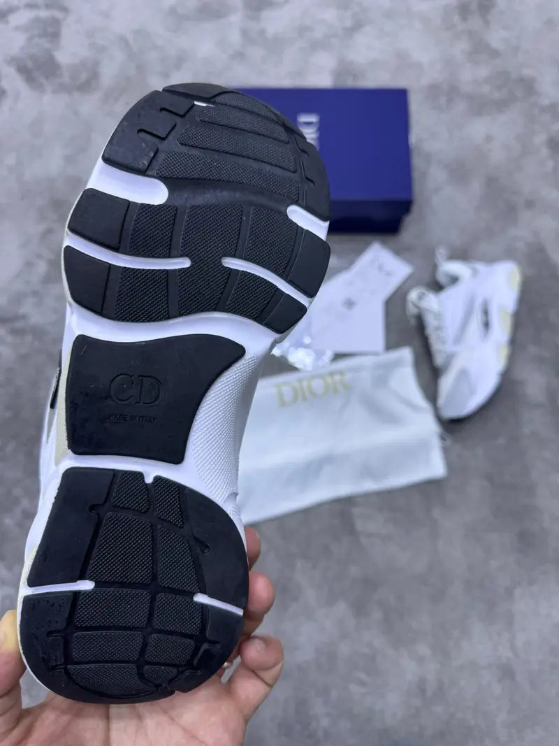 Zapatilla Dior B22