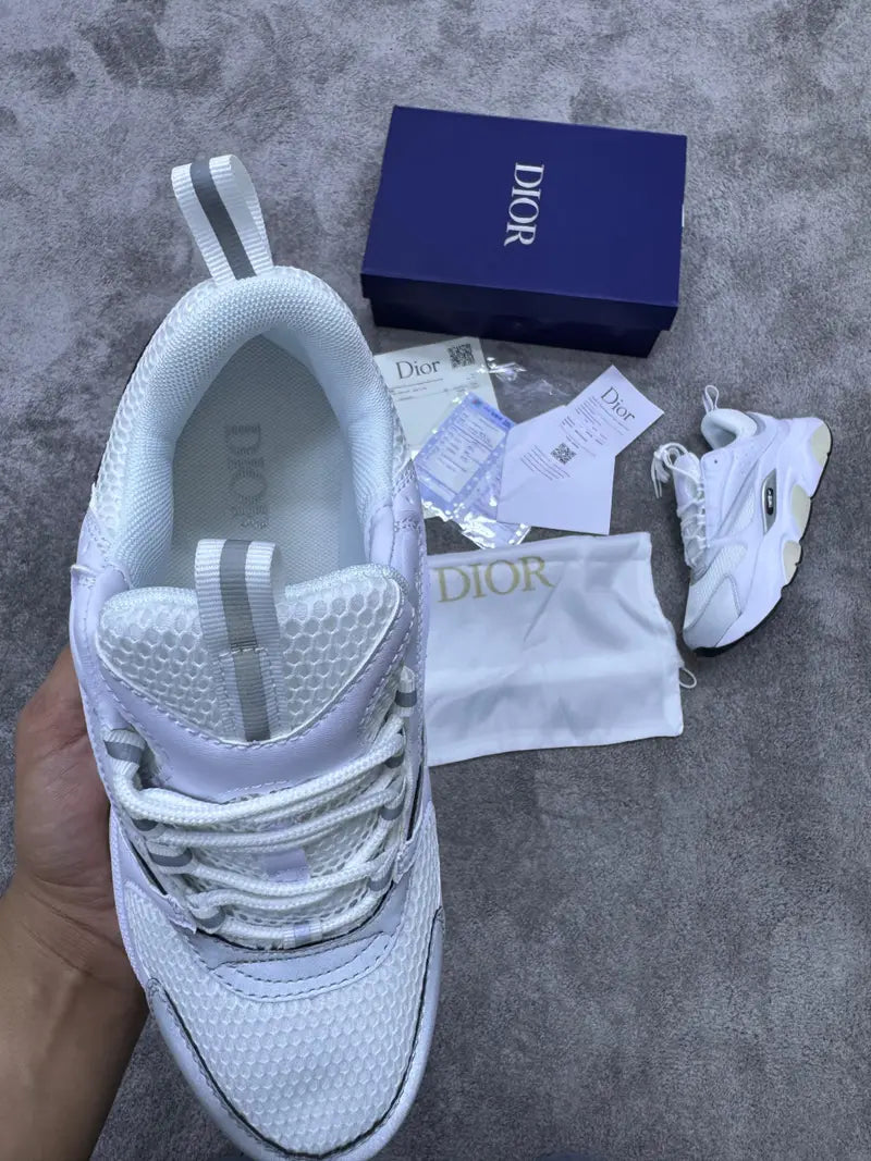 Zapatilla Dior B22