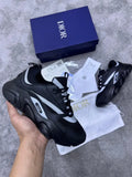 Zapatilla Dior B22