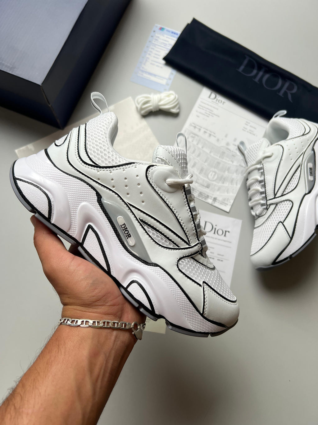 Zapatilla Dior B22