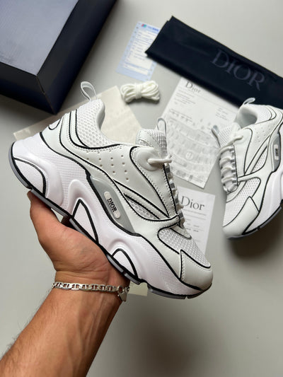 Zapatilla Dior B22