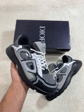 Zapatilla Dior B30
