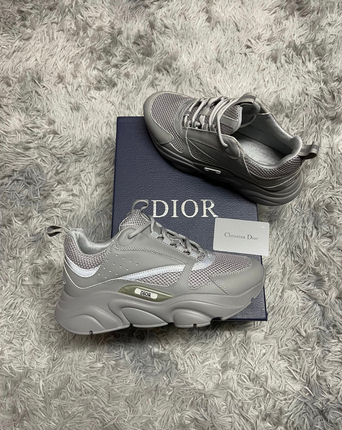 Zapatilla Dior B22